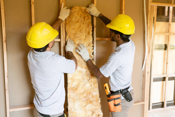 Best Cellulose Insulation  in Colfax, WA